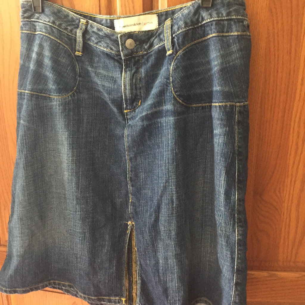 Cloth And Denim Skirt